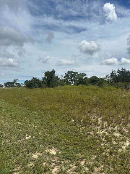 1348 Homosassa Ct, Poinciana, FL 34759