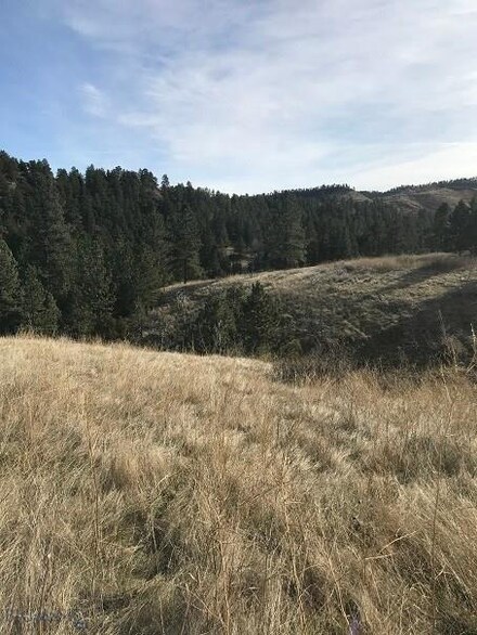 Lot 16A Overland Trail, Reed Point, MT 59069
