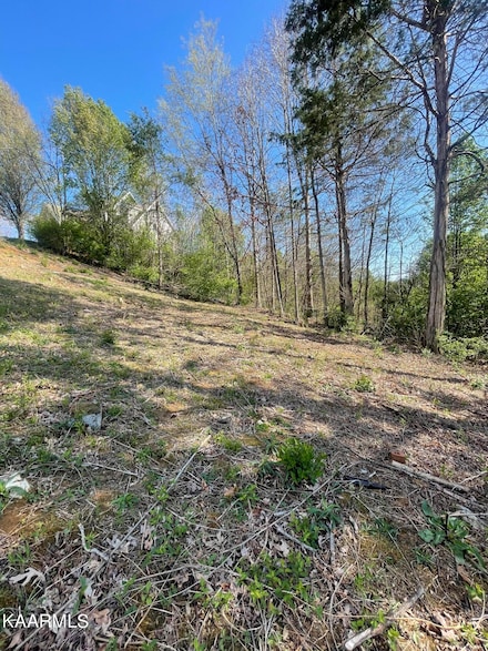 1948 Winter Winds Ln, Knoxville, TN 37909