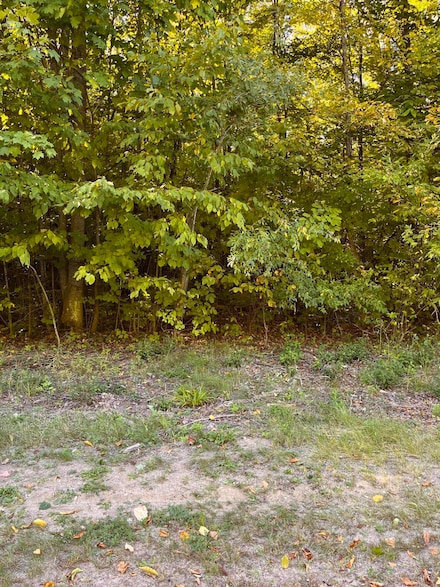 0 Deerfield Dr Unit 201821271, Beaver Creek Township, MI 49738
