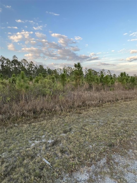 0 Gardenia Dr Unit MFRP4928291, Lake Wales, FL 33898