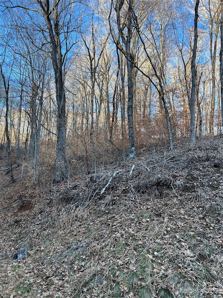 000 Chestnut Ln Unit 80, Mars Hill, NC 28754