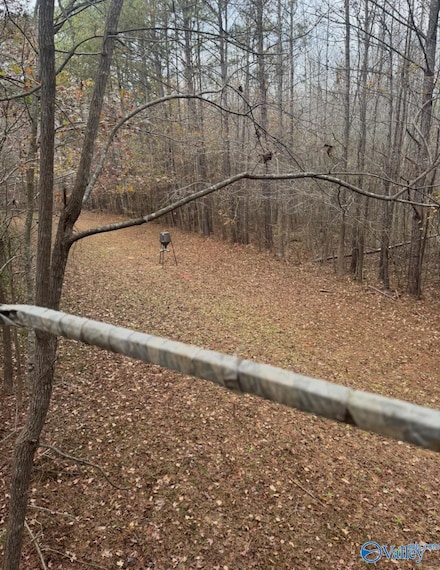 40 County Highway 25, Hamilton, AL 35570