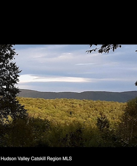 0 S Black River Rd, Stephentown, NY 12169
