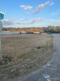 0 Lower Wetumpka Rd Unit 581828, Montgomery, AL 36110