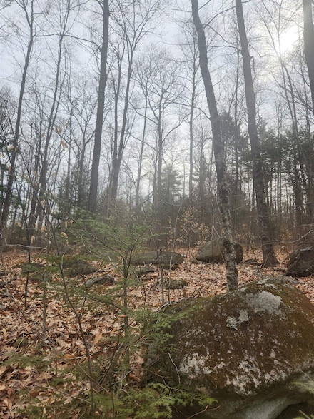 0 Attleboro Mountain Rd Unit 5040264, Richmond, NH 03470