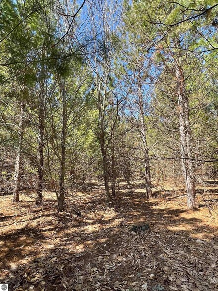 6379 Jeffrey Place Unit Lot 33, Grawn, MI 49637