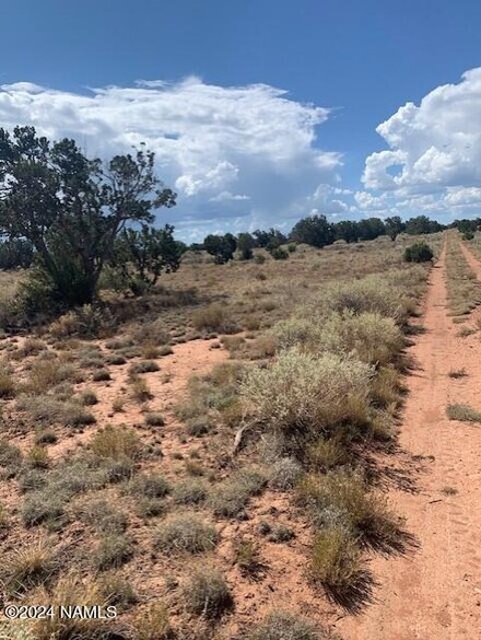 764 S Spruce Rd Unit 371, Williams, AZ 86046