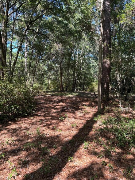6371 Bears Bluff Rd, Wadmalaw Island, SC 29487