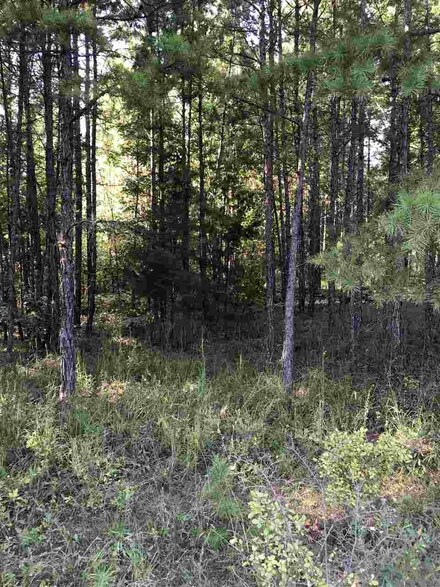 0 Hudspeth Rd, Hickory Flat, MS 38633