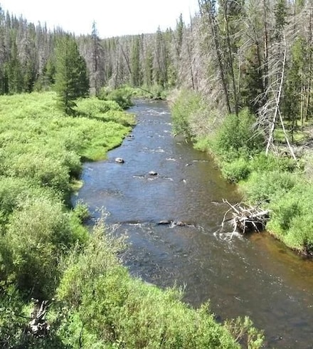 $375/mo Miningclaim Ownership, Albany, WY 82070