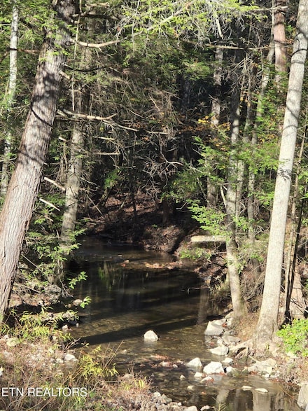 373 Georgee Rd, Jamestown, TN 38556