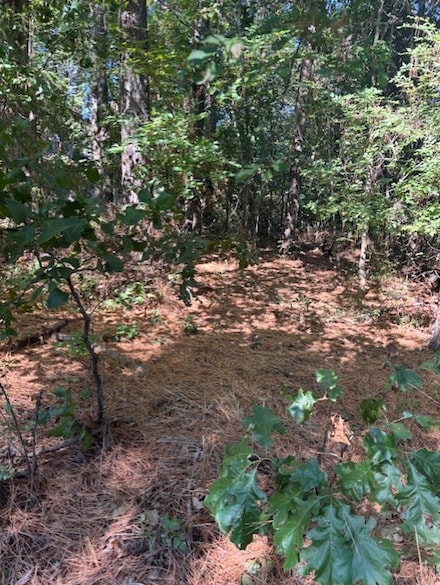 0 Skye Dr, Bella Vista, AR 72715