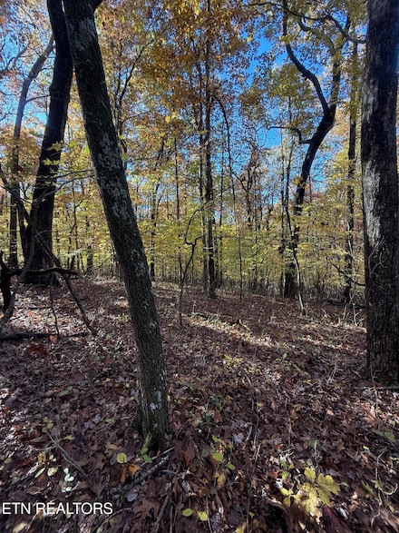 LOT 29 Crest Rd, Monterey, TN 38574