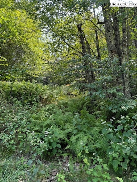 TBD Cranberry Ln, Beech Mountain, NC 28604