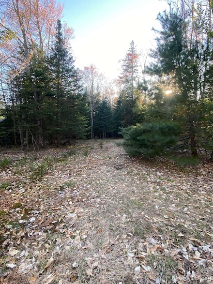 TBD Ross Lake Rd, Shingleton, MI 49884
