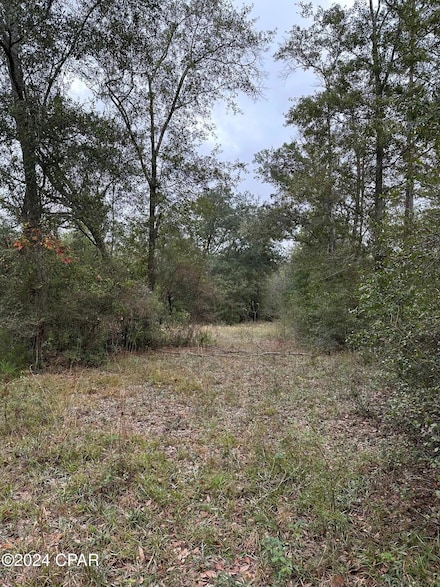 00 Baxter Rd, Malone, FL 32445