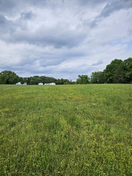 0 County Road 800, Flat Rock, AL 35966