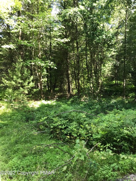 0 T 352 & Quinton Dr Unit PM-98914, Kunkletown, PA 18058