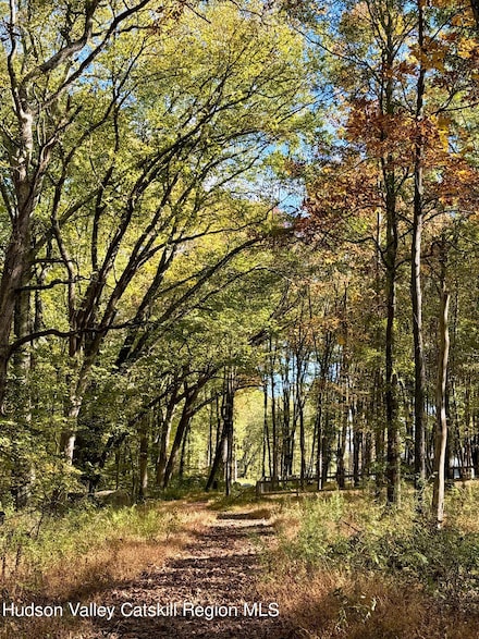 TBD Bruynswick Rd, Wallkill, NY 12589