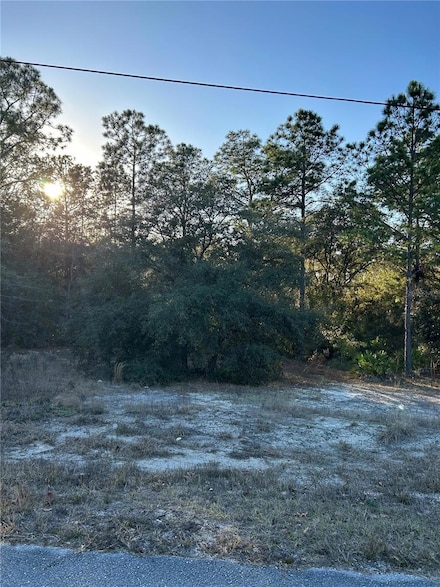 0 SW South Wind Ct Unit OM652879, Dunnellon, FL 34431