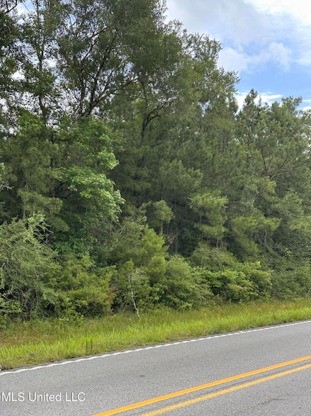 0 Ms-613 Hwy Unit 4116582, Moss Point, MS 39563