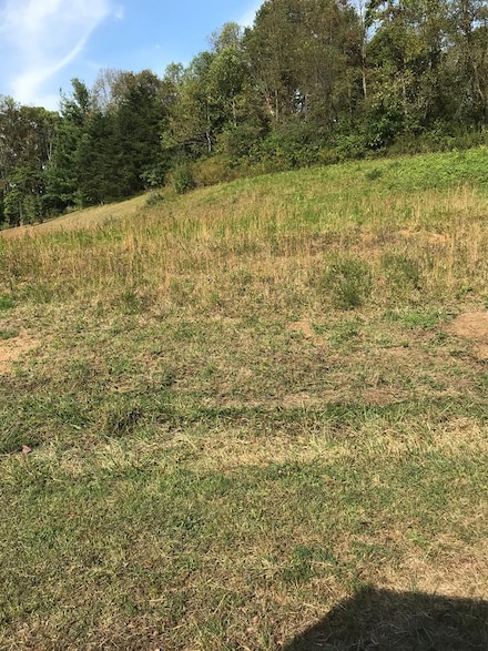 38 Brooke St, Chilhowie, VA 24319
