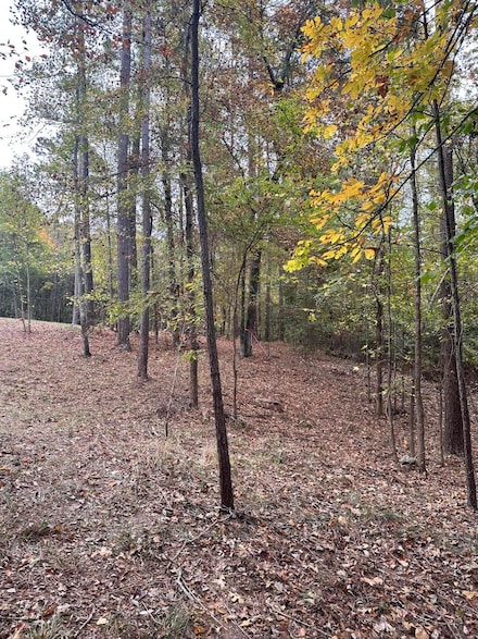1431 Rock Point Cove, Tignall, GA 30668