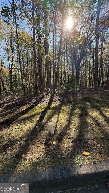 LOT 15 OF Fairview Springs Dr E, Ellenwood, GA 30284