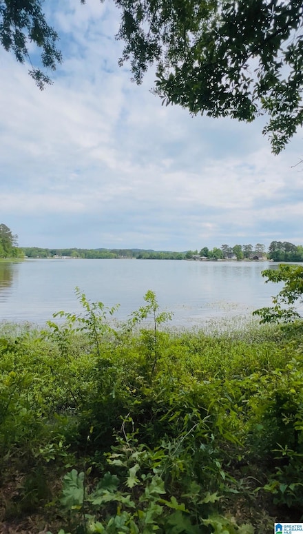 0 Cedar Shores Dr Unit 11 21419292, Sylacauga, AL 35151