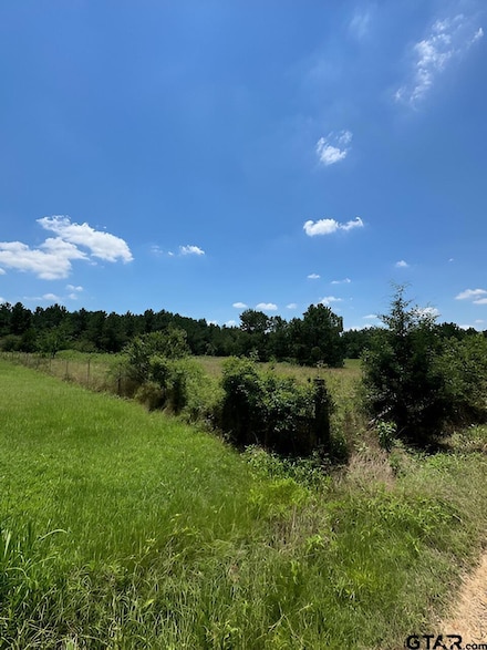 17728 Fm 346, Troup, TX 75789