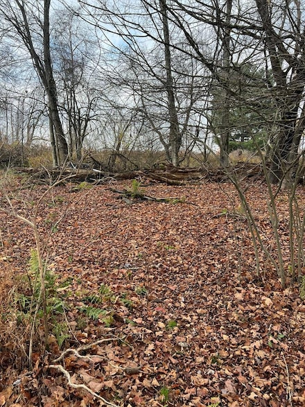 0 Big Bend Rd, Emlenton, PA 16373