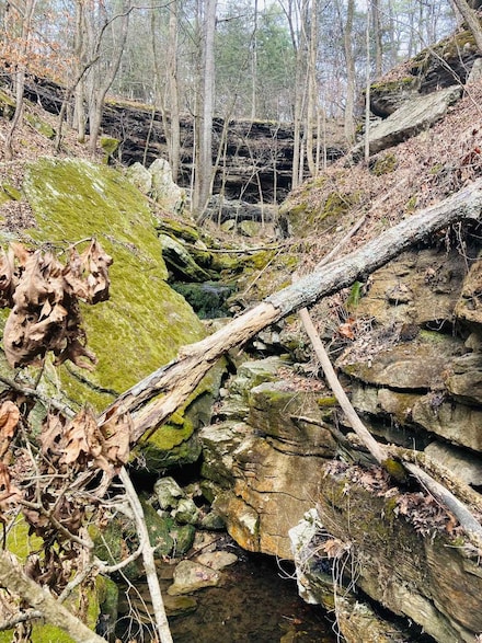 10 Campbell Ln, Calico Rock, AR 72519