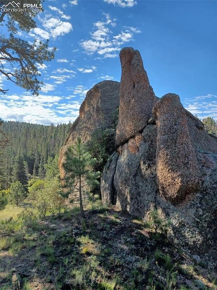 1505 Arapahoe Creek Trail, Florissant, CO 80816