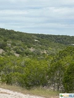 8702 Tepee Cove, Lago Vista, TX 78645