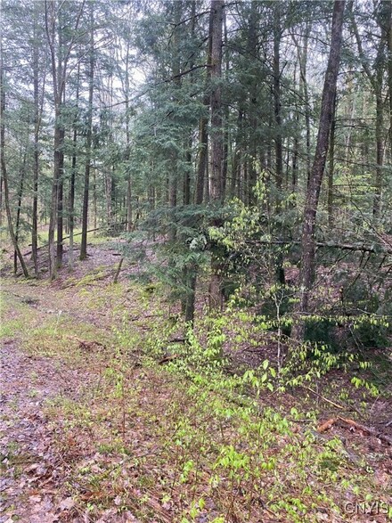 0 Rome-Taberg Rd, Taberg, NY 13471