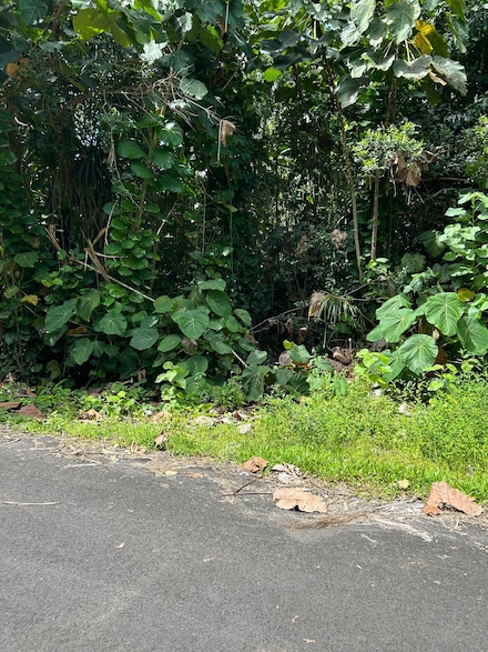 0 Palani St Unit 703513, Pahoa, HI 96778