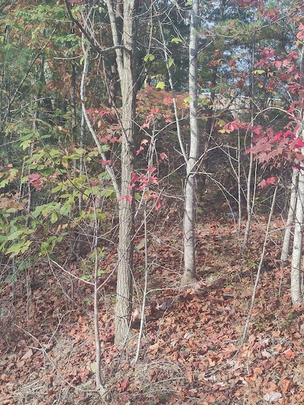 0 Asher Ln, Princeton, WV 24739