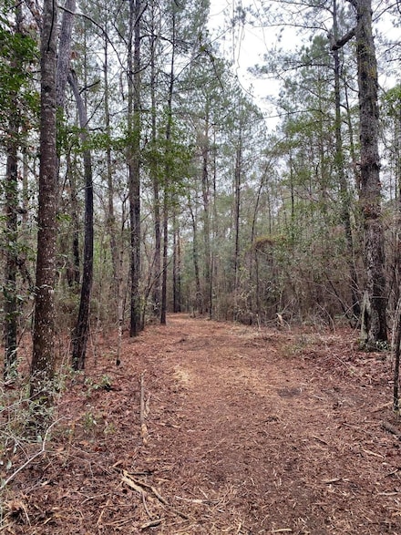 0 Rockhill Rd, Purvis, MS 39401