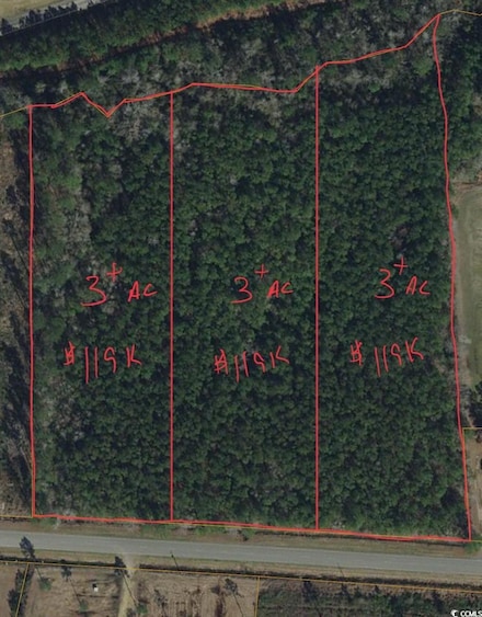 TBD Joyner Swamp Rd Unit Lot 2, Galivants Fry, SC 29544