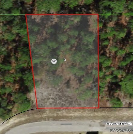 4162 W Dorchester Cir, Dunnellon, FL 34433