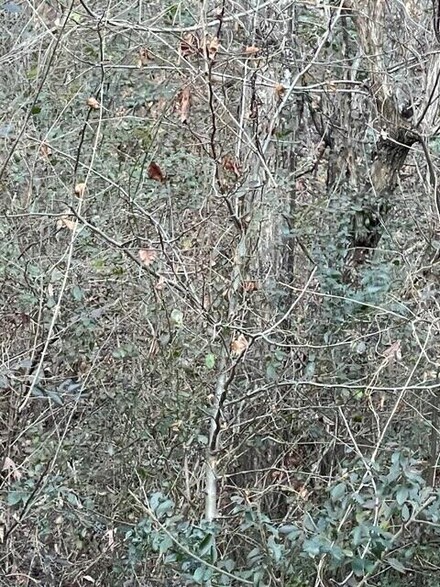 0 Hidden Ridge Loop Unit 1387355, Dunlap, TN 37327