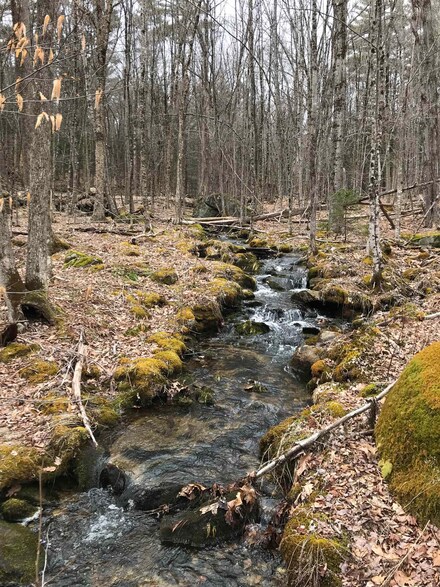 000 Gap Mountain Rd, Jaffrey, NH 03458