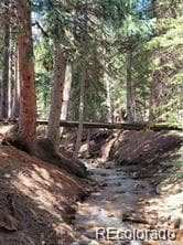 34408 Forest Estates Rd, Evergreen, CO 80439