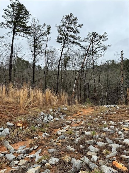 171 Ridgeline Ct, Ellijay, GA 30540