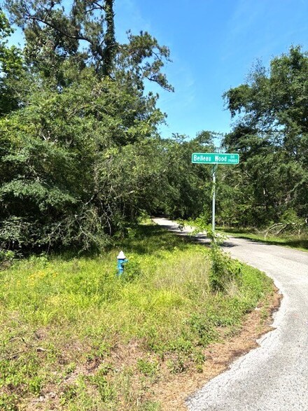 0 Belleau Wood Dr Unit 44625225, Houston, TX 77338