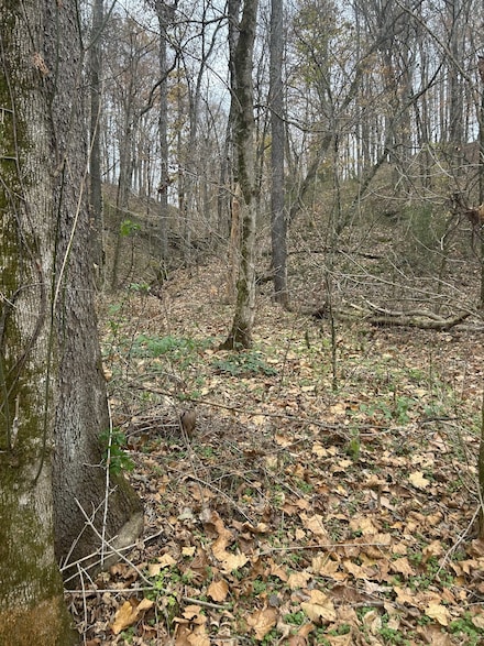 0 Red Boiling Road Springs Unit RTC3045652, Red Boiling Springs, TN 37150