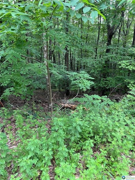 41 Faber Cir, Tannersville, PA 18372