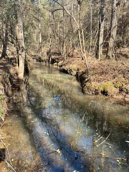 0 Sauls Road and James Ratcliff Rd Unit 143982, Tylertown, MS 39667