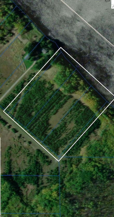 TBD Town Rd 389, Baudette, MN 56623